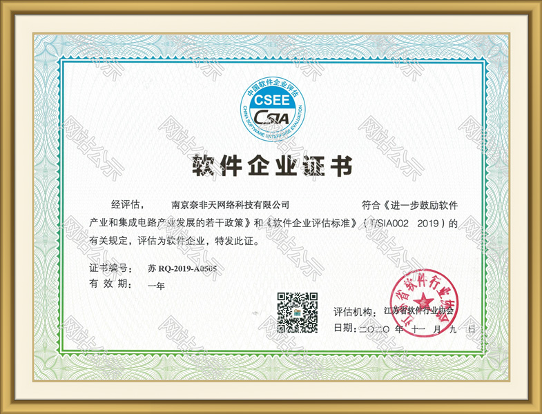 软件企业证书（2020）